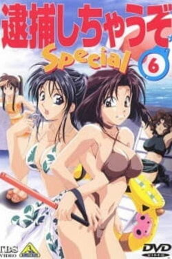 You're Under Arrest! Diverting Traffic at the Beach (1997) You're Under Arrest! Diverting Traffic at the Beach (1997)