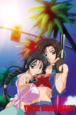 You're Under Arrest: No Mercy!! (2002) You're Under Arrest: No Mercy!! (2002)