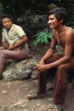 Yucatec Maya Deaf Sign (1977) Yucatec Maya Deaf Sign (1977)