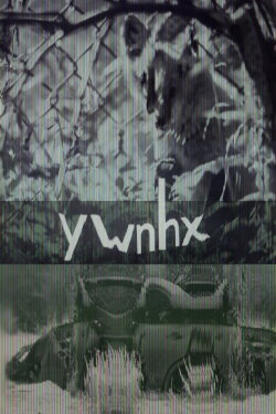 ywnhx (2023) ywnhx (2023)