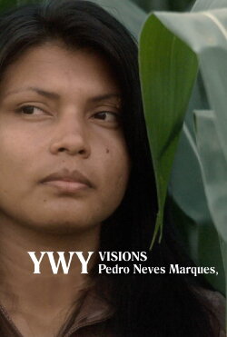 YWY, Visions (2023) YWY, Visions (2023)