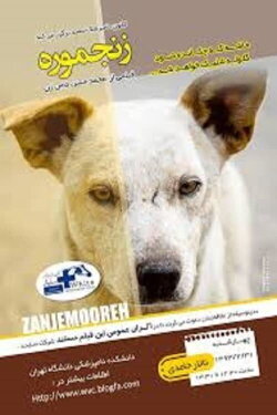 Zanjmoore (2012) Zanjmoore (2012)
