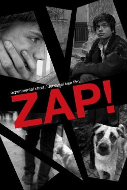 Zap! (2000)