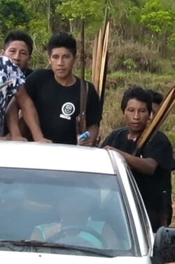 Zawxiperkwe Ka’a: Guardiões da Floresta (2019) Zawxiperkwe Ka’a: Guardiões da Floresta (2019)