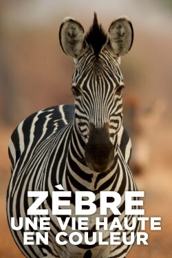 Zèbre, une vie haute en couleur (2022) Zèbre, une vie haute en couleur (2022)