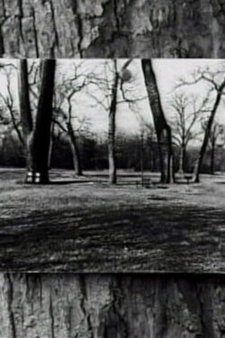 Zeno's Paradox (2003) Zeno's Paradox (2003)