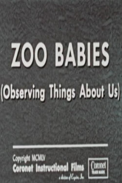 Zoo Babies (Observing Things About Us) (1955) Zoo Babies (Observing Things About Us) (1955)