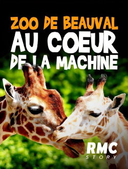 Zoo de Beauval : Au cœur de la machine (2020) Zoo de Beauval : Au cœur de la machine (2020)