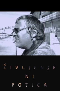 Zoran Predin - Life Is Not a Nut Roll (2003) Zoran Predin - Life Is Not a Nut Roll (2003)
