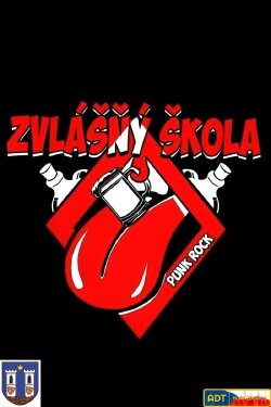 Zvlašňý Škola – Vánoční Koncert (2020) Zvlašňý Škola – Vánoční Koncert (2020)