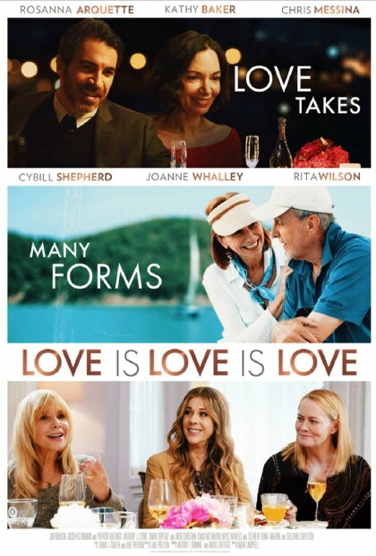 Ver Pelicula Love 911 Sub Español