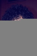 Eddy Rauf Afro