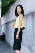 Hạ Vi