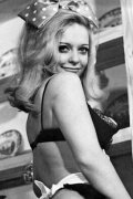 Cindy Neal