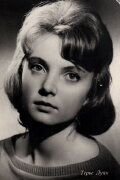 Terje Luik