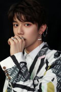 Lai Zongying