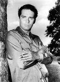 Brett Halsey