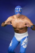 Blue Panther
