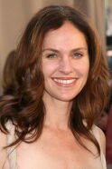 Amy Brenneman