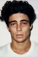 Benicio del Toro