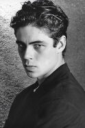 Benicio del Toro