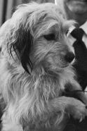 Benjean