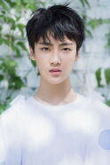 Bian Cheng