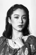 Brigitte Lin Ching-hsia