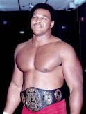 Bruce Reed