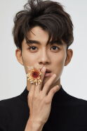 Chen Yilong