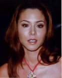 China Chow