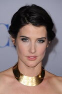 Cobie Smulders
