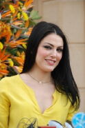 Dareen Haddad