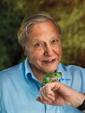 David Attenborough