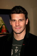 David Boreanaz
