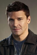 David Boreanaz