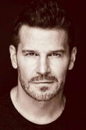 David Boreanaz
