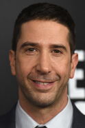 David Schwimmer