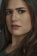 Diana Hesham