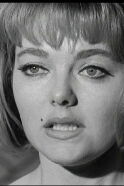 Diane Sayer