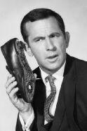 Don Adams