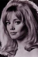 Elaine Taylor