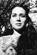 Flor Silvestre