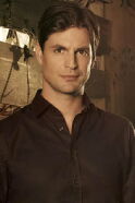 Gale Harold
