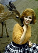 Gina Lollobrigida