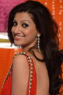Hamsa Nandini