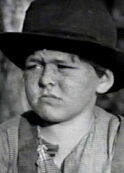 Harry Spear