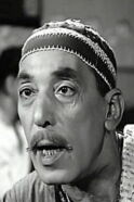 Hassan El Baroudy