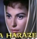 Haya Harareet