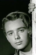 Henrik Huld